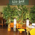 asu-best